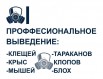 Центр дезинсекции и дератизации, Челябинск (Фото)