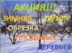 ������� �������� �������� � �����������, ������ (����)