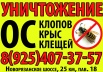 Уничтожение Клопов, Клещей, Тараканов в Балабаново, Боровск (Фото)