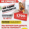 Уничтожение тараканов,насекомых и грызунов в Новороссийске (Фото)