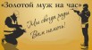 Бытовые услуги населению - Золотой муж на час в Воронеже (Фото)