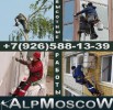 alpmoscow - ������������ ��������� � �������� ������. � ������ (����)