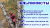 Спил, обрезка деревьев. Альпинисты-высотные работы в Новороссийске (Фото)