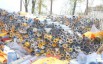Пвх листовой в рулонах (Фото)