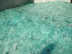 Купим листовой бой стекла, Саратов (Фото)