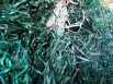 Продаем б/у ПЭТ (60%) и ПП (40%) стропы, немытые, в кипах (Фото)