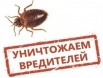 Уничтожение насекомых, Москва (Фото)
