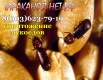 Мукоеды. Как уничтожить, вытравить, вывести? Обработка кухни от мукоедов. в Москве (Фото)