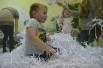 Детский центр с прибылью до 29 000 р в Вологде (Фото)