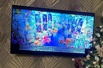 ����������������� ������ �� �����������, ���������, ����������� � ����� (����)