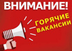 Работа с питанием, проживанием на море в Пензе (Фото)