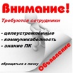 Специалист по рекламе в интернете требуется (Фото)