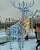 Новогодний Олень на заказ, Ташкент (Фото)