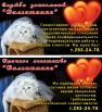 Брачное агентство и Служба знакомств «Валентинка» в Красноярске (Фото)
