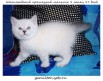 Клубные шотландские прямоухие и вислоухие котята Скоттиш Фолд и Страйт, Санкт-Петербург (Фото)