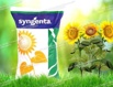 Гибриды семена подсолнечника Суванго hts express syngenta в Воронеже (Фото)