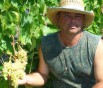 Саженцы и черенки винограда почтой по всем регионам в Саратове (Фото)
