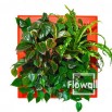 Фитокартины и фитомодули flowall, Москва (Фото)