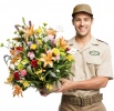 �������� ������ �� �������� floresta � ������ (����)