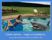 Помогу построить бизнес в интернете. Работа на дому (Фото)