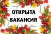 Идеальная надомная работа для мамочек, студентов, Владимирская область, Муром (Фото)